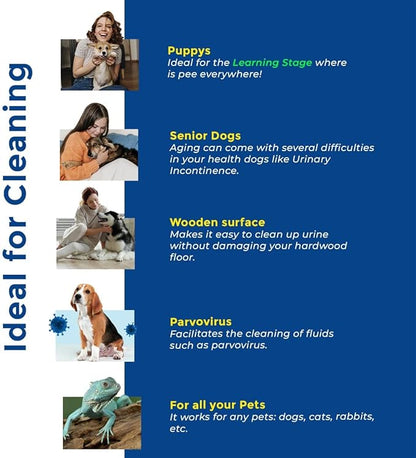 Whoops! Pet Accident Cleanup Powder - Non-Toxic, Citrus Fragrance, Absorbs & Deodorizes Urine, Vomit, Diarrhea - 1 Pack (29.98 oz Each)