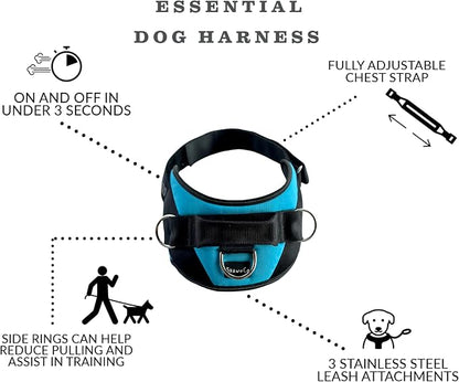 ShawnCo Essential Dog Harness, No-Pull Pet Vest with 3 Leash Clips, No Choke, Reflective, Adjustable and Padded, for Easy Walking and Training for Small, Medium and Large Dogs (Electric Blue,XL)