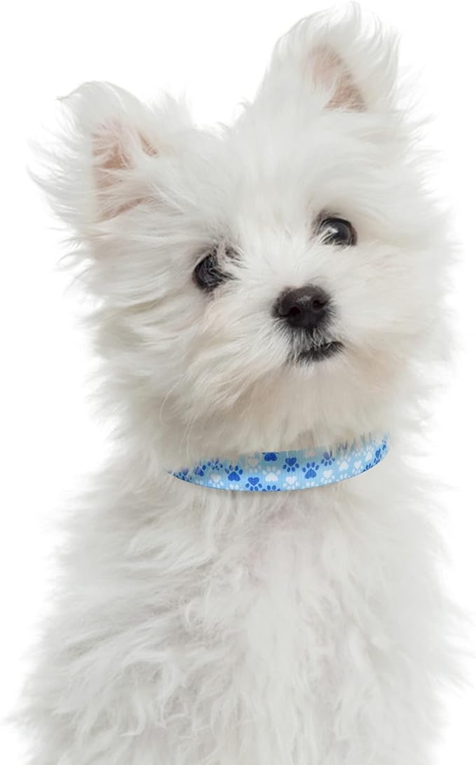 Mile High Life Dog Collar | Nylon Puppy Collars w Cute Patterns | Lightweight Girl Dog Collar | Boy Dog Collar for Small/Medium/Large Dogs (Blue Foot, Medium)