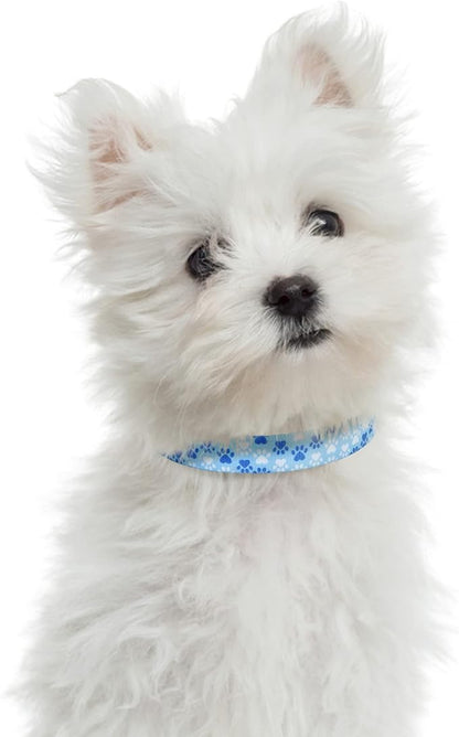 Mile High Life Dog Collar | Nylon Puppy Collars w Cute Patterns | Lightweight Girl Dog Collar | Boy Dog Collar for Small/Medium/Large Dogs (Blue Foot, Medium)
