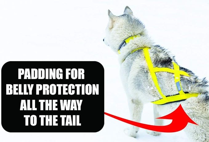 Neewa Pro Sled Dog Harness (Yellow, XXX- Large (Neck 22 Chest 38 Back 26))