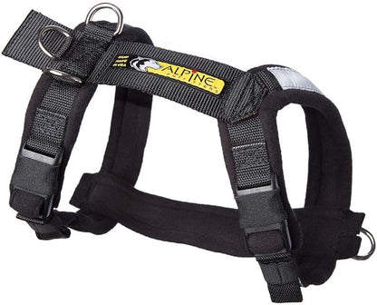 Urban Trail Adjustable Harness
