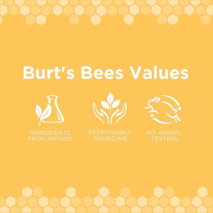 Burt's Bees for Pets Deodorizing Spray for Dogs with Apple and Rosemary, 6pk, 99.7% Natural Origin Formulas, Waterless Dog Shampoo - Gentle Dry Shampoo for Dogs, Best Dog Shampoo, 6pk, 10 oz