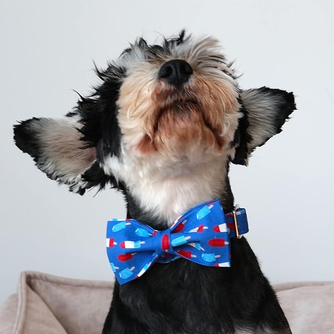Lionet Paws Patriotic Dog Collar with Bowtie, 4th of July, Soft and Comfortable Adjustable Summer Popsicle Bowtie Collar for X-Large Dogs Male Female Gift, Neck 16-26 inches