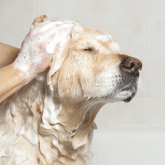 EfaLyt Creme Rinse Remedy for Pets - Hypoallergenic Formulation - Natural Moisturizing Promote Hydration - Essential Fatty Acids - 12 fl oz