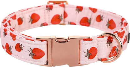 Lionet Paws Dog Collar, Comfortable Adjustable Cute Collar with Metal Buckle for Male Female Dogs Gift, Strawberry Pattern, Small, Neck 10-16 inches