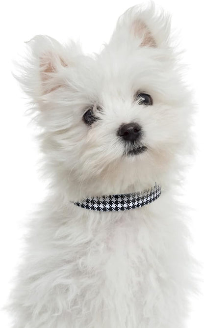 Mile High Life Dog Collar | Nylon Puppy Collars w Cute Patterns | Lightweight Girl Dog Collar | Boy Dog Collar for Small/Medium/Large Dogs (Black White, Small)
