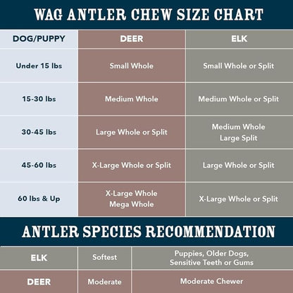 Amazon Brand - Wag Dog Deer Antler Chew, Naturally Shed, Whole, Large 8-9.5 inches (Best for Dogs 30-45 lbs), 3.20 Ounce (Pack of 4)