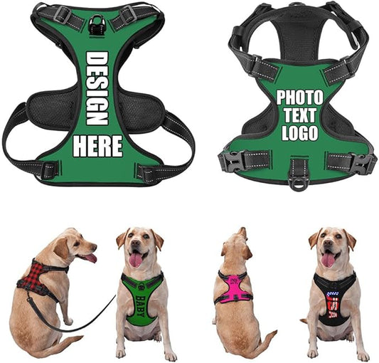 Personalized Pet Harnesses with Name and Phone Number, Heavy Duty Dog Harness with Leash Set Customization, Customizable No Pressure Pet Vest with You Own Design, Seagreen, XL