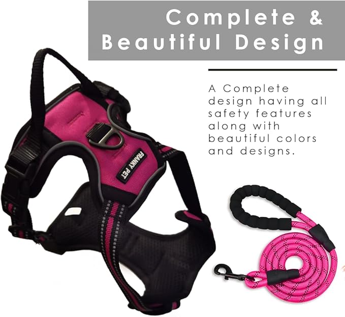 Dog Harness and Leash Duo, No Pull Vest Harness with 5 Ft Leash, Soft padded Vest, No-Choke Oxford Pet Harness, Easy Control Handle and Adjustable Pet Harness (Rose Red, Large)
