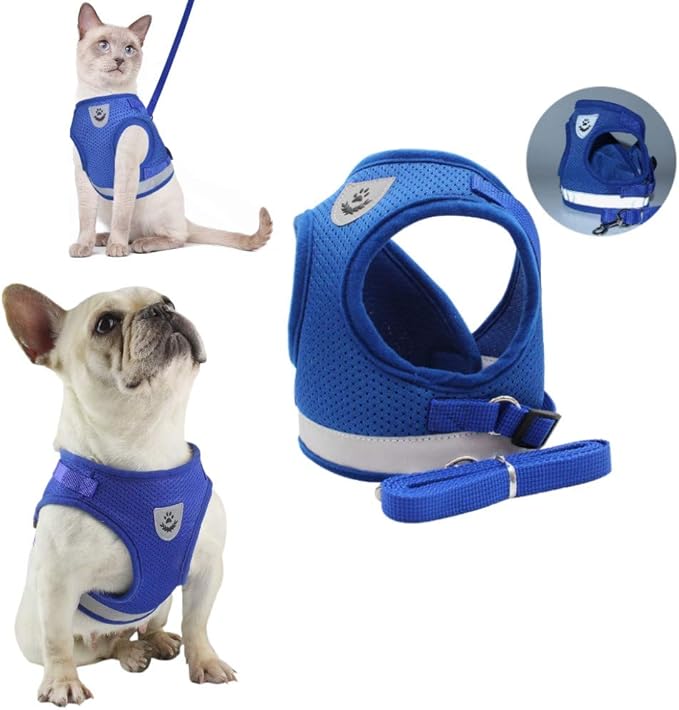 Cat Harnesses for Small Dogs - Cat Harnesses and Leashes for Walking, Adjustable Reflective Step in Dog Harness for Small Dog and Cat (Blue, XS (10.2” – 11.4”))