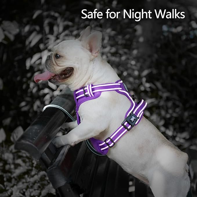 PoyPet No Pull Dog Harness, No Choke Reflective Dog Vest, Adjustable Pet Harnesses with Easy Control Padded Handle for Small Medium Large Dogs(Purple Matching Trim,M)