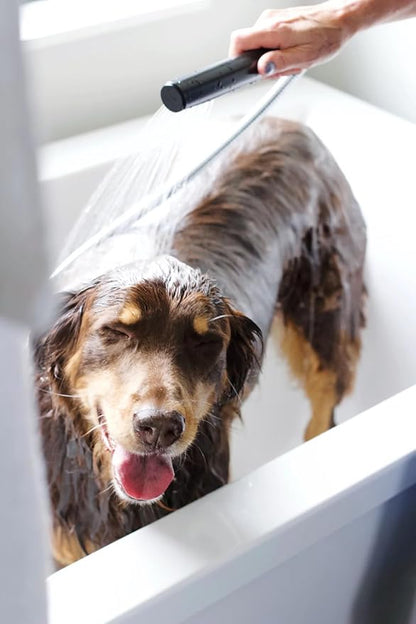 Scent Free Shampoo, Formulated for All Pets, Gentle and Cleansing, Made in The USA, Cruelty Free, 16 fl oz