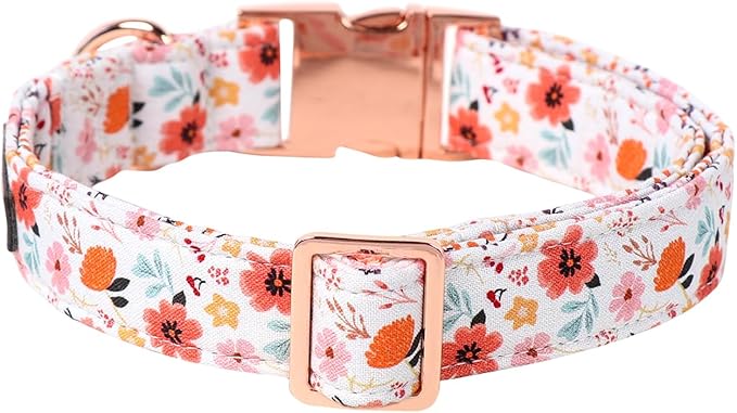 Lionet Paws Dog Collar, Adjustable Cute Collar with Metal Buckle for Male Female Puppies Gift,Summer Flower, Small, Neck 10-16 inches