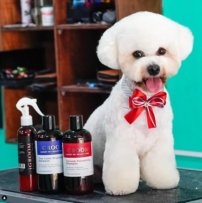 iGroom Vavoom Volumizing Dog Shampoo, Luxury Pet Beauty Care, Add Body and Volume, Lightweight, Made in USA, 16 oz
