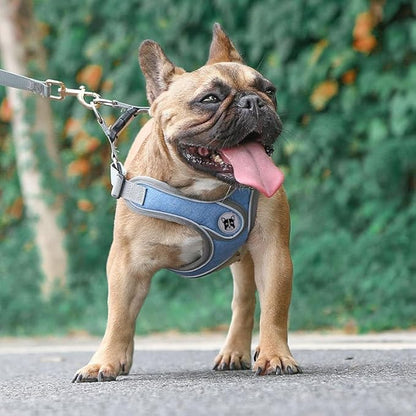 Dog Harness Soft Adjustable Basic Nylon Step in Puppy Vest Outdoor Walking