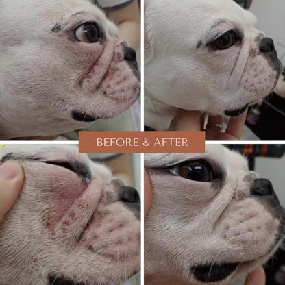 Wrinkle Wipes for Dogs | Bulldog, French Bulldog, Pug, English Bulldog | Cleans & Soothes Wrinkles, Folds, Tear Stain, Tail Pockets & Paws, Anti-Itch | 100 Soft Cotton Pads…