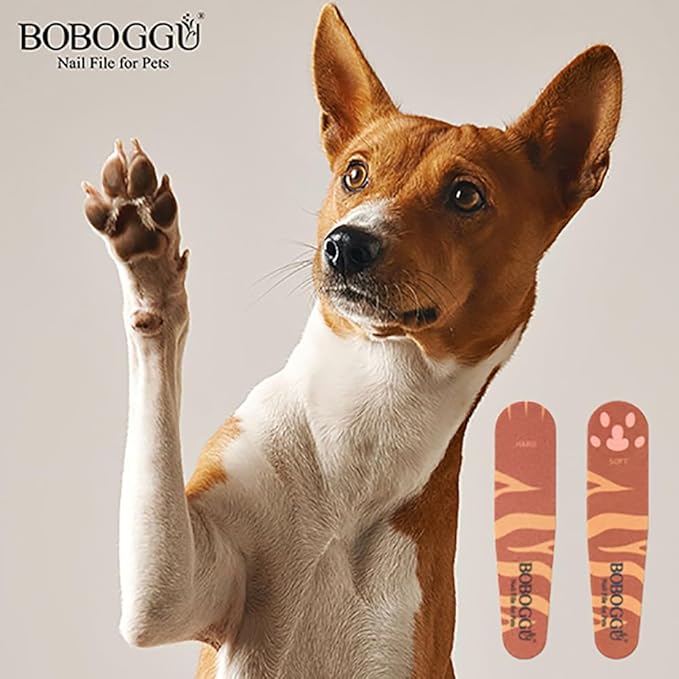Pet Nail Files Grinder Trim Doublesided Hard and Soft Nail File for Pets Dog Cat Parrot (D 5 Pieces), Orange