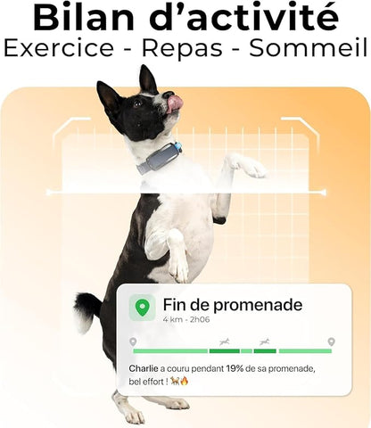 Minitailz - Health & GPS Tracker for Dogs #1 - Cardiac and Respiratory Scan - Real-time Location - Activity and Well-Being Analysis - Compact, Lightweight, and Easy to Install