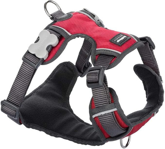 Red Dingo Padded Harness Medium, Red