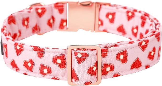 Lionet Paws Valentine Day Dog Collar, Heavy-Duty Cute Red Heart Pattern Collar with Metal Buckle Pet Necklace for Medium Large Dog Gift, Neck 16-24 inches