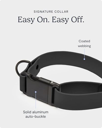 FABLE Signature Collar - Lightweight, Waterproof, & Durable Dog Collar - Coated Webbing Collar with Aluminum Buckle - Easy On/Off & Re-Sizing - Easy to Clean - Black - Medium