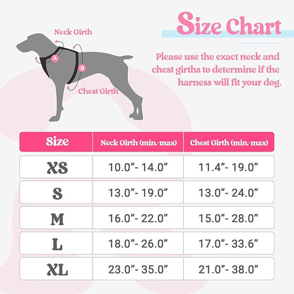 rabbitgoo Dog Harness, No-Pull Pet Harness with 2 Leash Clips, Adjustable Soft Padded Dog Vest, Reflective No-Choke Pet Oxford Vest with Easy Control Handle for Large Dogs, Pink & Blue, L