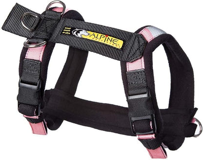 Urban Trail Adjustable Harness