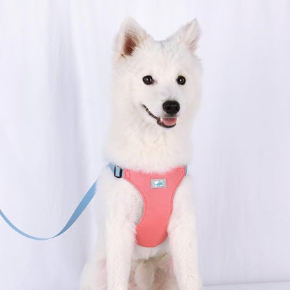 Beirui Small Dog Harness and Leash Set, No Pull Step-in Harness for Puppy, Lightweight Air Mesh Pet Harness for Small Dogs (Rose, S)