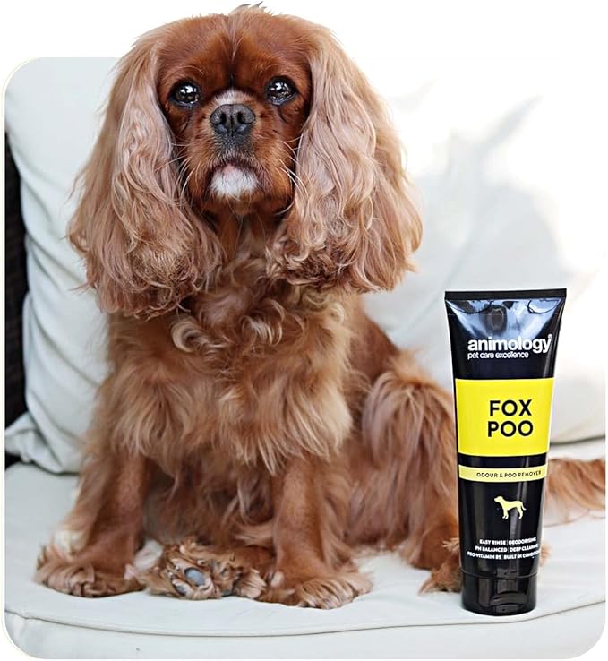 Dog Fox Poo Shampoo 250ml