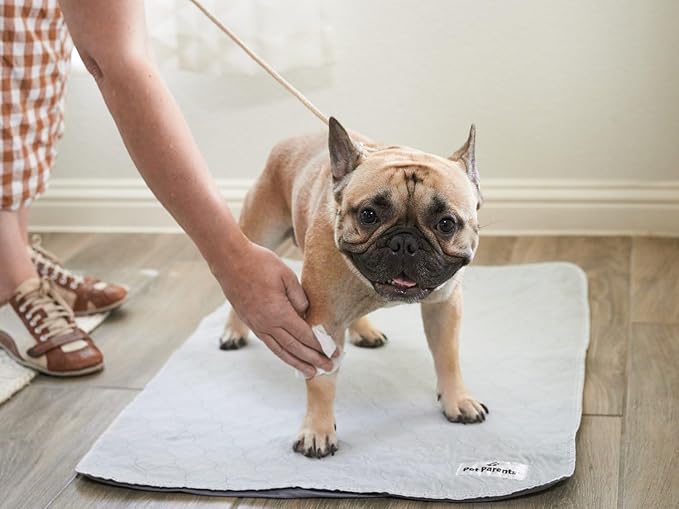 Pet Parents® Pet WiPees™ Dog All Purpose + Allergy Dog Wipes, Pet Wipes for Dogs, Puppy Wipes & Paw Wipes, Large Dog Wipes (100 Count (Pack of 2), Natural)