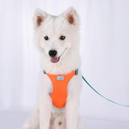 Beirui Small Dog Harness and Leash Set, No Pull Step-in Harness for Puppy, Lightweight Air Mesh Pet Harness for Small Dogs (Orange, XS)