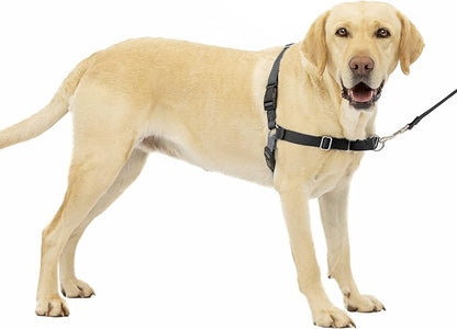 PetSafe Easy Walk No-Pull Dog Harness - The Ultimate Harness to Help Stop Pulling - Take Control & Teach Better Leash Manners - Helps Prevent Pets Pulling on Walks, Large, Charcoal/Black