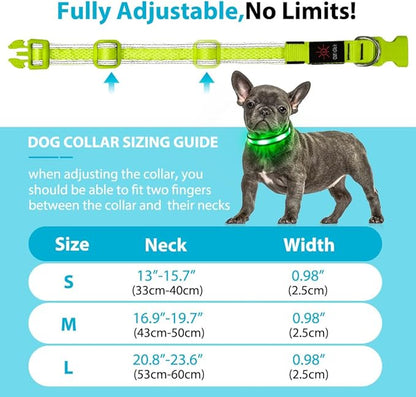 LED Dog Collar Rechargeable - BSEEN Light Up Dog Collar, Glow in The Dark Dog Collar Light, Reflective Dog Collar Safety Dog Lights for Night Walking (Medium, Green Ⅱ)