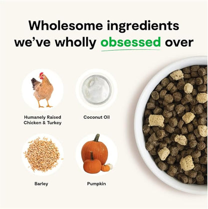 Open Farm RawMix Ancient Grains Prairie Recipe for Dogs, Includes Kibble, Bone Broth, and Freeze Dried Raw, Inspired by The Wild, Humanely Raised Protein and Non-GMO Fruits and Veggies, 20 lb