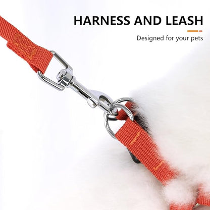 Beirui Small Dog Harness and Leash Set, No Pull Step-in Harness for Puppy, Lightweight Air Mesh Pet Harness for Medium Dogs (Yellow, M)