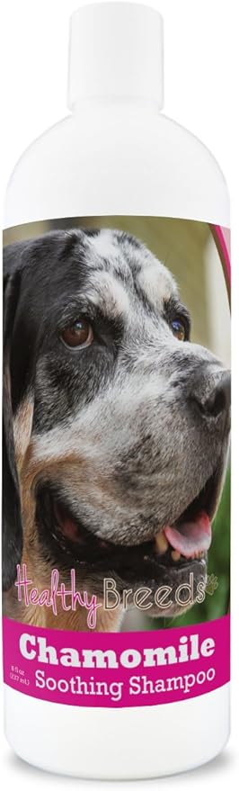 Healthy Breeds Bluetick Coonhound Chamomile Soothing Dog Shampoo 8 oz