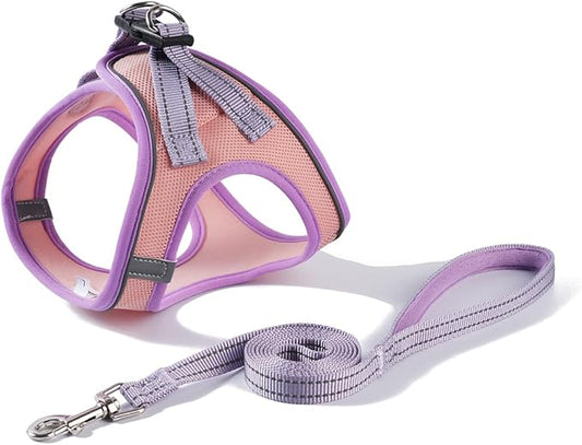 Soft Mesh Dog Harness and Leash Set, No-Chock Step-in Reflective Breathable Lightweight Easy Walk Escape Proof Vest Harnesses with Safety Buckle for Small Medium Dogs, Cats (Purple, Small)