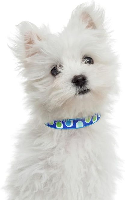 Mile High Life Dog Collar | Nylon Puppy Collars w Cute Patterns | Lightweight Girl Dog Collar | Boy Dog Collar for Small/Medium/Large Dogs (Blue Dot, Small)