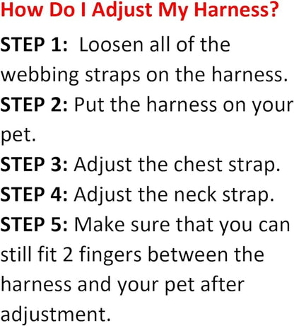 Best Pet Supplies Voyager Adjustable Dog Harness Leash Set with Reflective Stripes for Walking Heavy-Duty Full Body No Pull Vest with Leash D-Ring, Breathable All-Weather - Harness (Fuchsia), XS