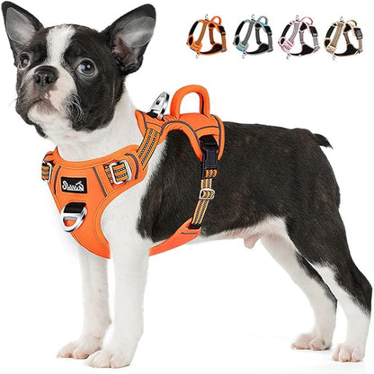 Lukovee No Pull Dog Harness, No Choke Adjustable Dog Harness with 2 Leash Clips and Easy Control Vertical Handle, Soft Padded Dog Vest for Medium and Large Dogs (Medium, Orange)