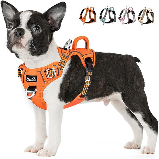Lukovee No Pull Dog Harness, No Choke Adjustable Dog Harness with 2 Leash Clips and Easy Control Vertical Handle, Soft Padded Dog Vest for Medium and Large Dogs (Medium, Orange)