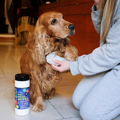 Pet Mess Wipes for Pets Cleansing, Wipes for Dogs and Puppies–Remove Fur, Dander, Smells from Vehicle Seats, Washable Furniture, Wood, Tile, and Laminate Floors 50 Count (Pack of 4)