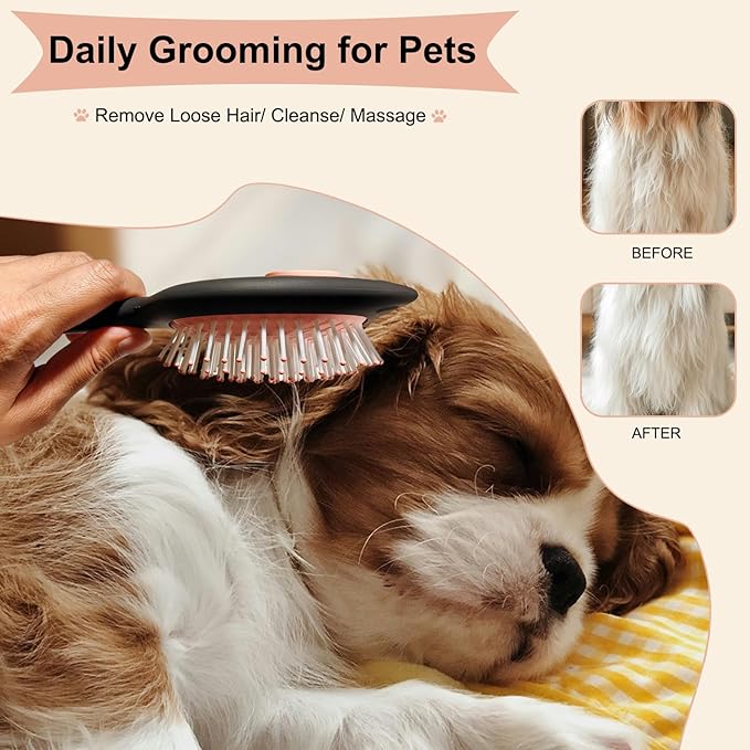 Soft Bristle Cat-Ear Puppy Brush Small Dogs Gentle Comb Grooming Tool Yorkie Shih Tzu Maltipoo Maltese (Black)