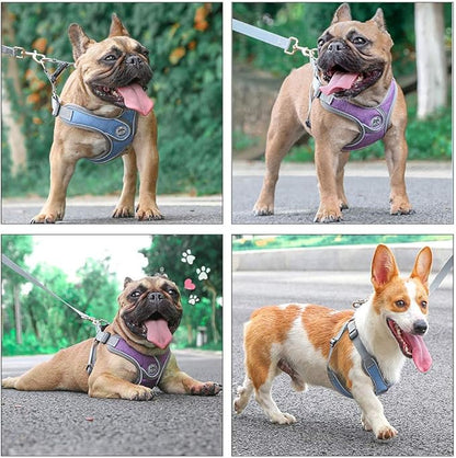 Step-in Dog Harness, Adjustable Reflective Small Dog Harness and Leash Set, Soft Air Mesh Vest Kit for Small Medium Breed Puppy and Cats