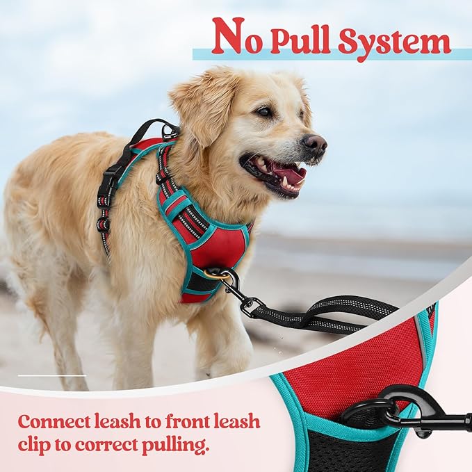 rabbitgoo Dog Harness, No-Pull Pet Harness with 2 Leash Clips, Adjustable Soft Padded Dog Vest, Reflective No-Choke Pet Oxford Vest with Easy Control Handle for Large Dogs, Red & Teal, M
