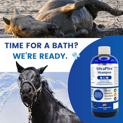 Ag21 Professional Chelated Silver Pet Shampoo & Conditioner - UV Protection, Coat Enhancing Formula for Dogs, Cats & Horses - Vet Recommended, Made in USA (16 oz)