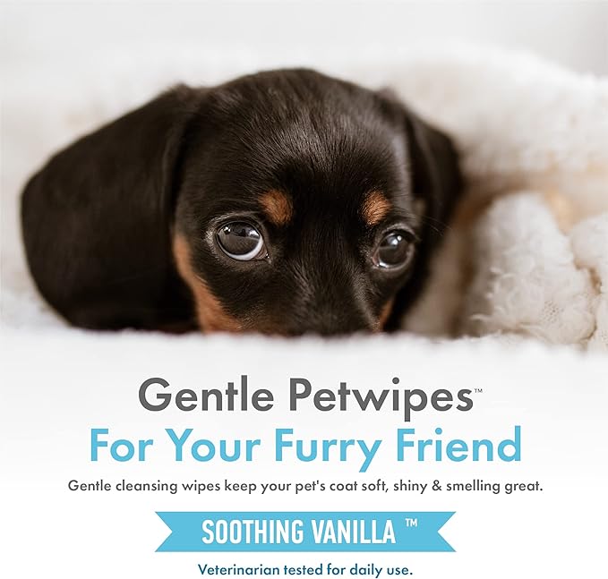 Petkin Hemp Pet Wipes for Dogs and Cats - with Hemp Oil & Soothing Vanilla Scent, 200 Count - Soothes, Calms & Conditions - Wipes for Pet's Face, Eyes and Body - for Home or Travel