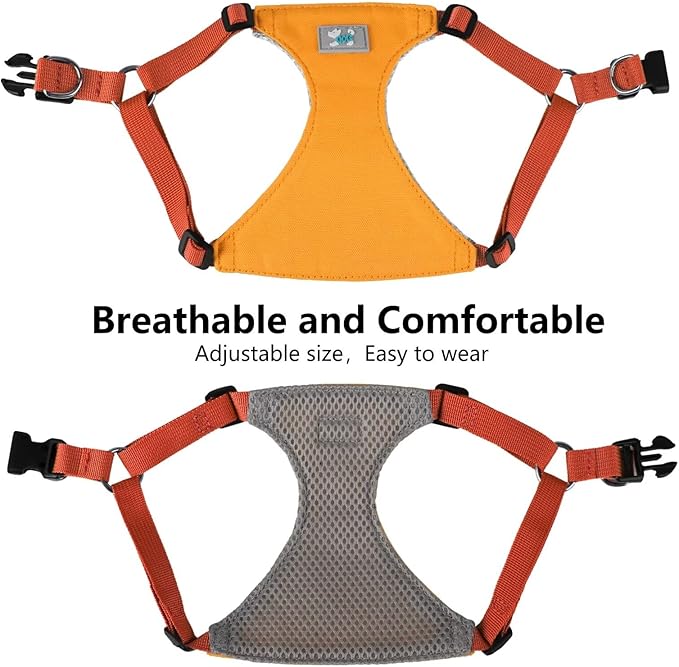 Beirui Small Dog Harness and Leash Set, No Pull Step-in Harness for Puppy, Lightweight Air Mesh Pet Harness for Medium Dogs (Yellow, M)