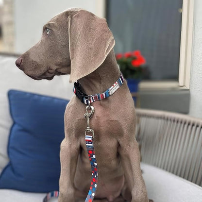 Lucky Love Dog, Nautical Matching Dog Collar and Leash Set, Polka Dot Striped Dog Collar and Leash for Male Female Dogs - (Small, Linus Combo)